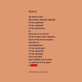 Raadgedicht 2 voor site